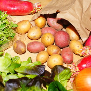 Example of what is inside a bag from the market.